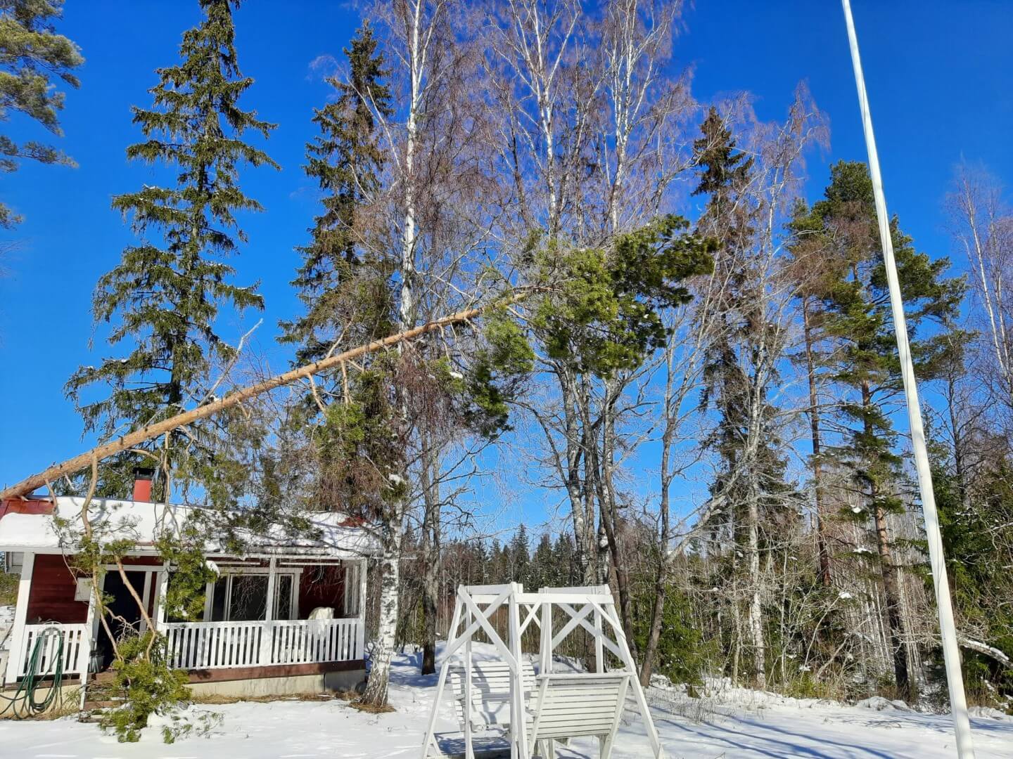 Valmius myrskytuhojen raivaamiseen